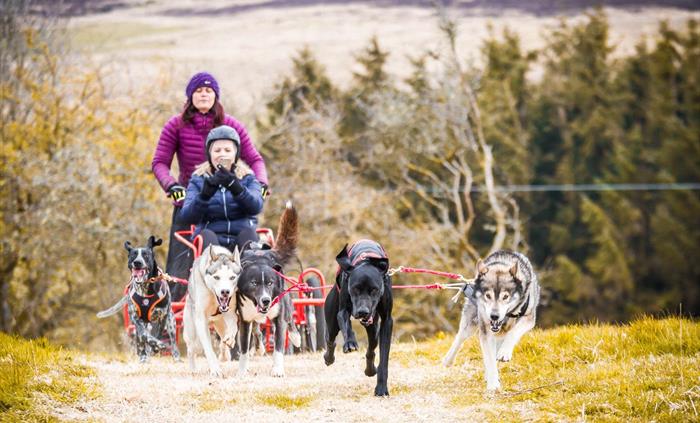 Mynydd Sleddog Adventures